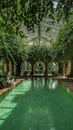 an indoor swimming pool surrounded by trees and greenery