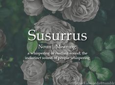 the words susurrus are written in white and black on a background of roses