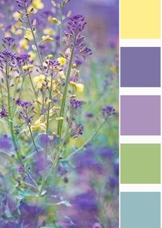 some purple and yellow flowers are in the middle of color swatches for this photo