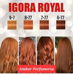 Copper Hair Igora, Schwarzkopf Copper Hair Color, Natural Copper Hair Color, Copper Hair Color Formula, Honey Ginger Hair Color, Hair Color Swatches, Copper Blonde Hair