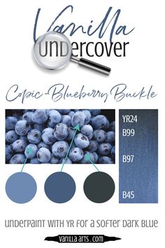 the color scheme for blueberries is shown