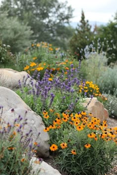 an assortment of wildflowers and rocks in a garden