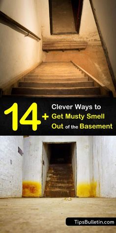 14+ Clever Ways to Get Musty Smell Out of Basement Mold In Basement, Old Basement, Flooded Basement, Cleaning Painted Walls, Basement Makeover