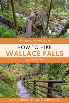 a wooden walkway in the woods with text overlay that reads popular waterfalls trail how to hike wallace falls washington