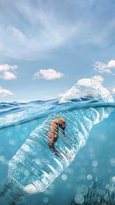 a plastic bottle floating in the ocean with a person swimming underneath it and another underwater object