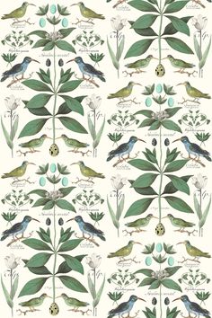 an illustration of birds and leaves on a white background, with green leaves in the foreground