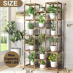 a shelf with many plants in it and measurements for each plant size, including the height