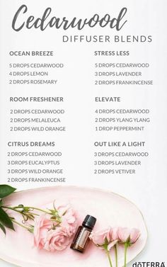 Diy Kosmetik, Essential Oil Diffuser Recipes, Oil Diffuser Recipes, Cedarwood Oil, Essential Oil Blends Recipes