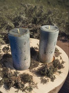 two blue candles sitting on top of a wooden table next to plants and bushes in the background