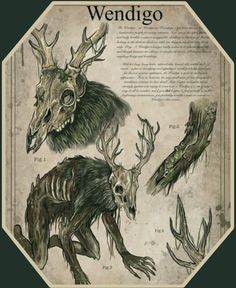 Urban Legend Creatures, Wendigo Art Drawing, Cryptids Creatures Art, Cryptids Drawings, Cryptid Reference, Mythology Creatures Art, Fantasy Creatures List, Mythological Creatures Art, Monster Design Ideas