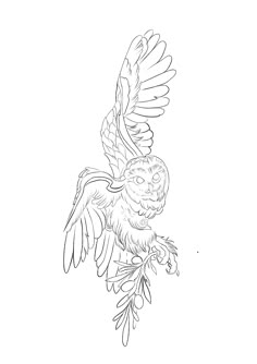 a drawing of an owl with wings spread out on its back, flying through the air