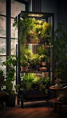 an indoor planter filled with lots of green plants and potted plants in it