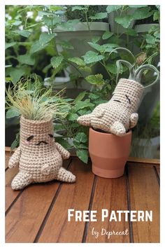 two crocheted pots with plants in them and the words free pattern written below