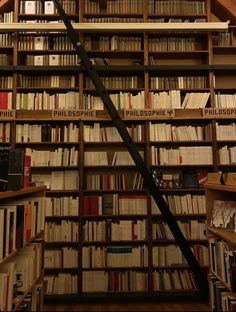 the bookshelves are filled with many different types of books and there is a ladder in front of them