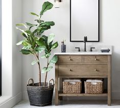 a potted plant sitting on top of a wooden sink vanity next to a mirror