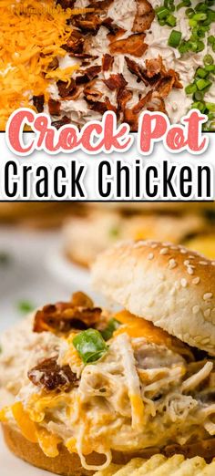 this chicken sandwich is loaded with shredded cheese and other ingredients to make it look like an appetizer