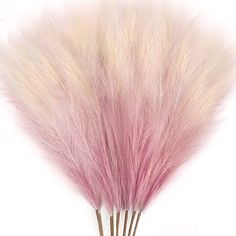 PRICES MAY VARY. 【Boho Chic Decor】Add a touch of freshness to your home and set a bohemian mood with our superb pampas grass plants for home decal! Easy to use and very durable, these faux pampas grass stems are a lovely decoration to add more personality to your place. 【Package Includes】You can get 8pcs colorful gradient fluffy artificial pampas grass. They are very suitable for parties or wedding faux flowers for arrangement and it can also be bent and used. It's beautiful even in a wine bottl Room Wedding Decoration, Faux Pampas, Living Room Wedding, Fall Stem, Vase Display, Grass Decor, Pampas Grass Decor, Easy Care Plants, Dry Plants