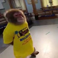 a monkey is wearing a yellow shirt and dancing on the floor in a room with tables