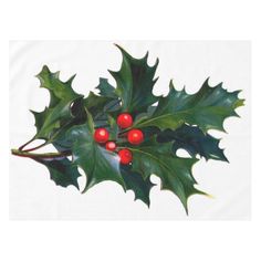 Leaf Pics For Xmas Trees, Christmas Holly Images, Holly Pictures, Graphics Fairy, Rose Leaves, Flower Graphic, Victorian Christmas, Holly Leaf, Christmas Holly