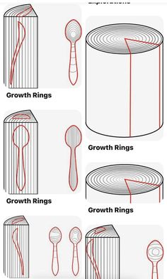 an image of how to make a ring out of paper