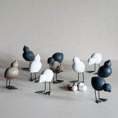 a group of birds standing next to each other