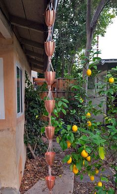 an orange tree is hanging from the side of a house in front of some lemons