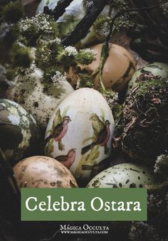 an image of easter eggs with birds painted on them and moss growing in the background