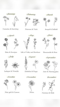 the different types of flowers are shown in black and white on a sheet of paper