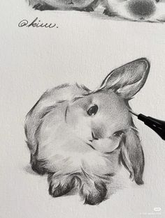 two pencil drawings of rabbits with the words kiss written on them