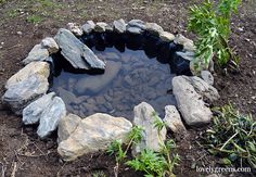 a small pond surrounded by rocks in the middle of some grass and dirt with plants growing around it