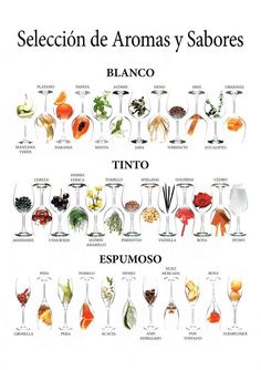 a poster with different types of wine glasses in spanish and english words on the bottom