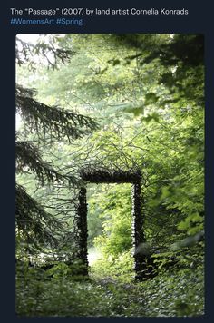 an arch made out of branches in the middle of a forest with trees around it