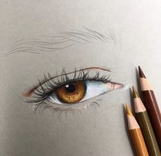 a pencil drawing of an eye with long lashes and brown eyeshade next to two colored pencils