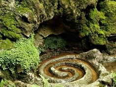 a spiral shaped rock formation with moss growing on it