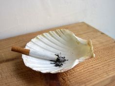 themountainboy: esalare: i don’t even like when people smoke, but this is so clever and witty i use to collect shells at the beach for my nonno (granddad) to use as an ash tray, perfect Coquette Ashtray, Shell Ashtray, Cheap Holiday Decor, Fashion Me Now, Coquille Saint Jacques, Cheap Holiday, Ash Tray, Saint Jacques, Oyster Shell