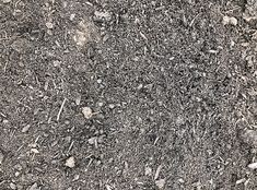 the ground is covered with small rocks and gravel, as if it were from above