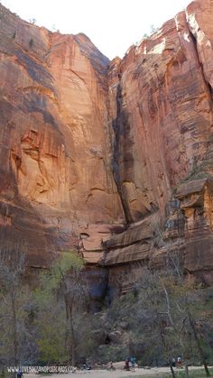 people are standing in front of some very large rocks and trees with no leaves on them