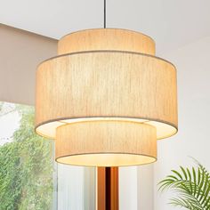 a light fixture hanging from the ceiling in a living room with a potted plant next to it