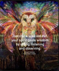 an owl with the quote just like a wise old owl, your spirit gains wisdom by sitting, listening and observing