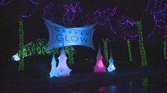 the garden glow sign is lit up with purple and blue lights in the dark forest