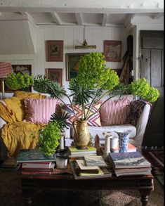 a living room filled with lots of furniture and plants on top of a coffee table