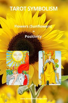 This image shares the meaning of Flowers (Sunflowers) when it appears in a Tarot Card image The Meaning Of Flowers, Meaning Of Flowers, Flowers Sunflowers