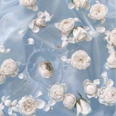 white flowers are floating in the water on a blue background with ripples and bubbles