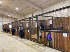 several horses are in their stalls at the stable, with people standing around looking on