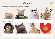 there are many different types of cats on this page, including one with a heart