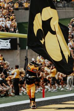 a person holding a flag in front of a crowd