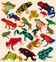 a group of colorful frogs sitting on top of each other