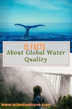 a person standing in front of a waterfall with the words 15 fact about global water quality