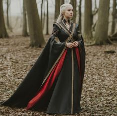 Targaryen Fashion, House Of The Dragon Costume, Targaryen Dress, Ravenna Snow White, Royal Core, Hollywood Costume, Magic Dress