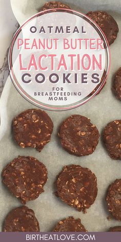 BEST lactation cookies that boost milk supply for breastfeeding Moms. Looking for an EASY lactation cookies recipe, with simple ingredients? These peanut butter and oatmeal lactation cookies only require 1 bowl and just a few breastfeeding pantry staples. You'll love this lactation cookie recipe for boosting milk supply and a tasty breastfeeding snack or treat. Peanut Butter Lactation Cookies, Easy Lactation Cookies, Oatmeal Lactation Cookies, Boosting Milk Supply, Dairy Free Lactation Cookies, Lactation Cookie Recipe, Nursing Foods, Milk Supply Foods, Healthy Breastfeeding Snacks